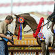 Making Money at Horse Shows: Learn and Earn at the Same Time