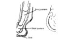 The Importance of Picking Hooves