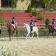 What to Look for at a Riding School