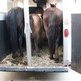 What Types of Trailers are Out There?