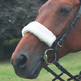 What�s in a Noseband?