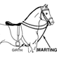 Which Martingale Should I Use?