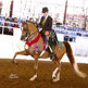 Your First Horse Show