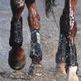 Nutritional Support for Injured Equine Athletes