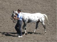 Appy Acre Ranch