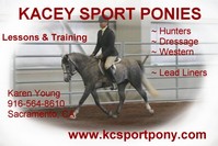 Kacey Sport Ponies