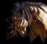 PaLante Dressage