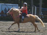 All Gaits Training