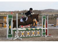 M.C. Equestrian Centre