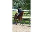 whispering Oaks