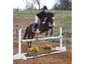 Hidden Creek Stables