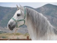 HorsEdeM
