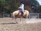 Full Circle Equestrian