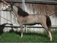 C Bar M Ranch