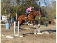 Haar Equestrian