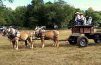 Eagle's Wings Ranch