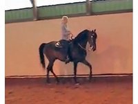 legacy stable
