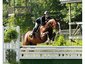 Muny Sunk Stables, Inc.