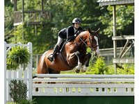 Muny Sunk Stables, Inc.