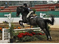 Paramount Show Stables