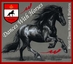 Dances With Horses