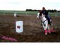 SNS Horse Training