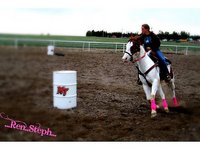SNS Horse Training