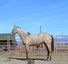Kuhn Ranch