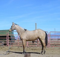 Kuhn Ranch