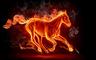 Copper Horse Crusade