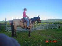 Mountian View Ranch