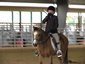 Y Knot Ranch