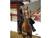 Kropp River Stables