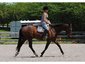 Riverview Farms And Stables