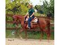 Whispering Willow Farm