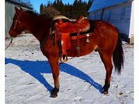 Sliding Stop Ranch