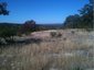 www.CowboyCapitalRealty.com