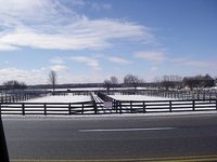 Total Equine Fencing