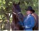Country Hills Equestrian Center Inc.