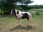 Full Circle Ranch