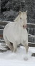 HarmonyFarmsKentucky