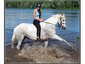 EquiChoices