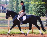 Brookstone Farms