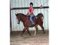 WaterGap Stables LLC