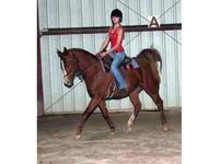 WaterGap Stables LLC