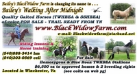 Walking-After-Midnight Farm, aka Blackwidowfarm, LLC