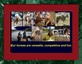 Dallaire Paints and Quarter Horses
