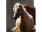 Misty View Stables