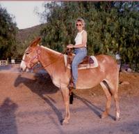 Painted Spirit Ranch