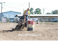 circle r stables
